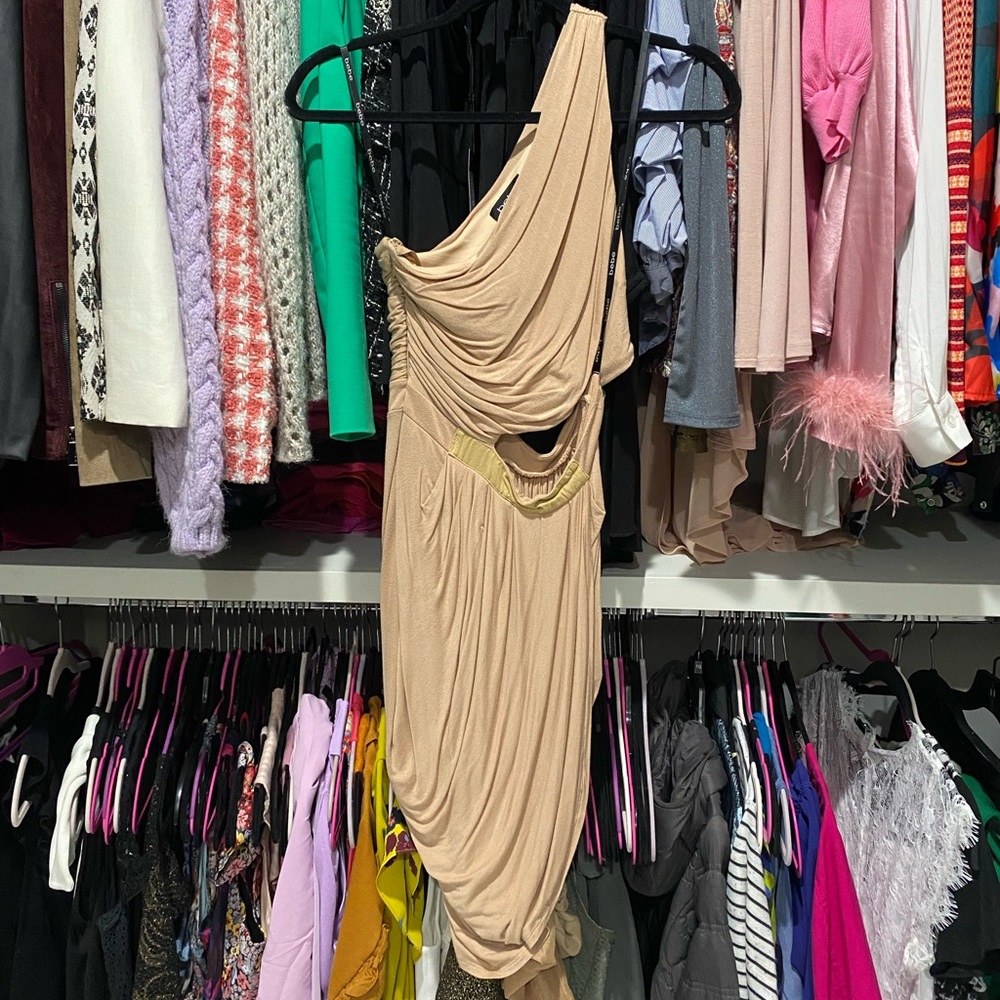 Bebe nude dress